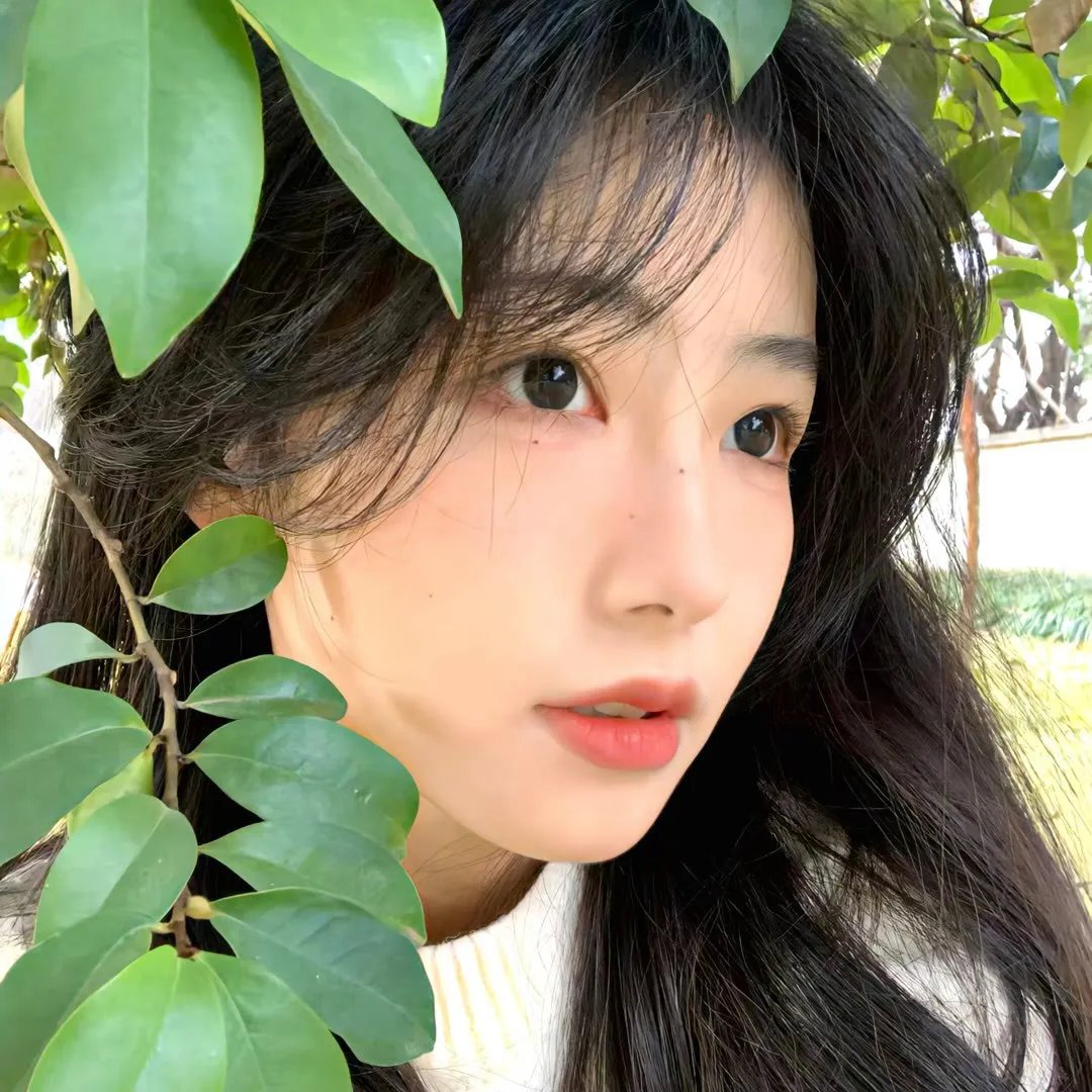 家国恩仇记