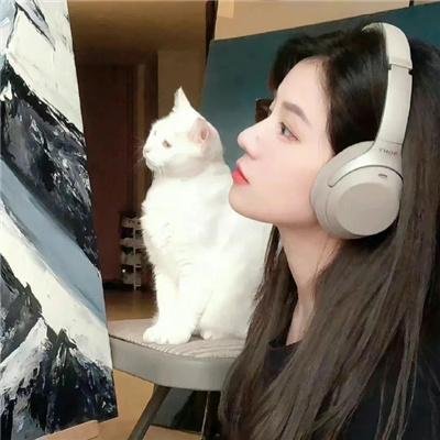 拉字至上第一季